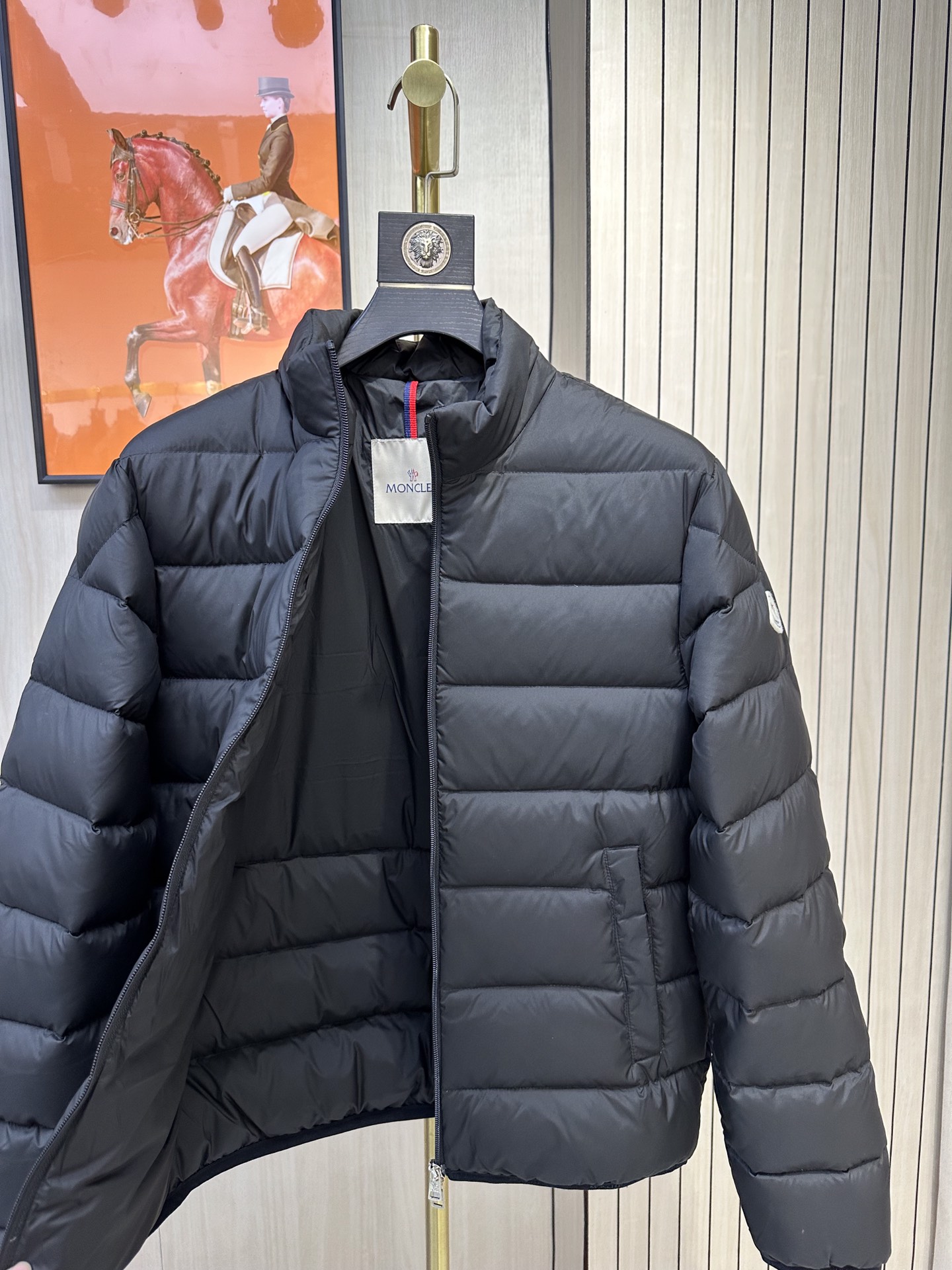 Moncler Down Jackets